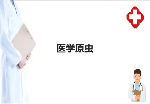 医学原虫(病原生物)