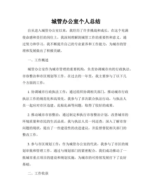 城管办公室个人总结