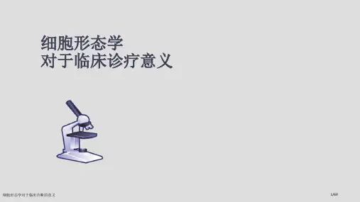 细胞形态学对于临床诊断的意义