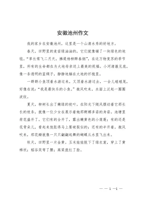 安徽池州作文