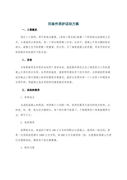 同条件养护试块方案