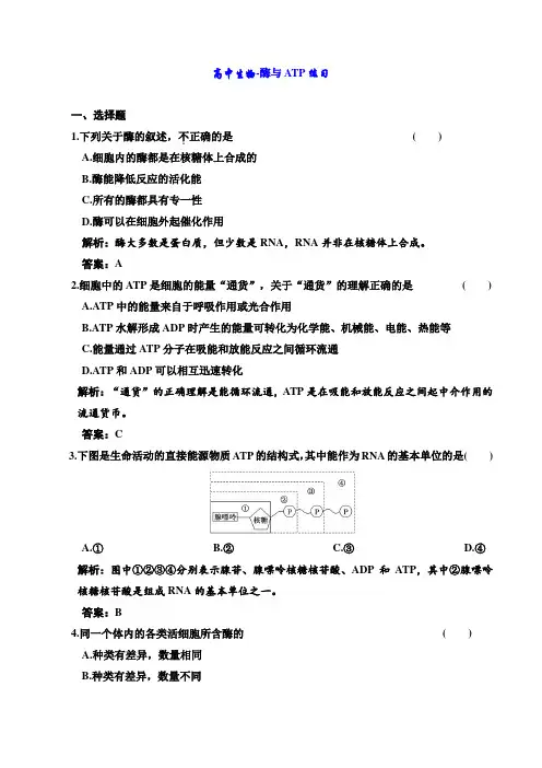 高中生物-酶与ATP练习