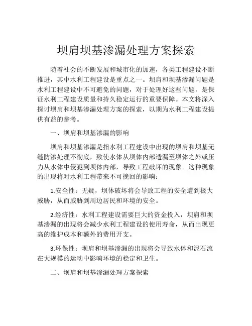 坝肩坝基渗漏处理方案探索