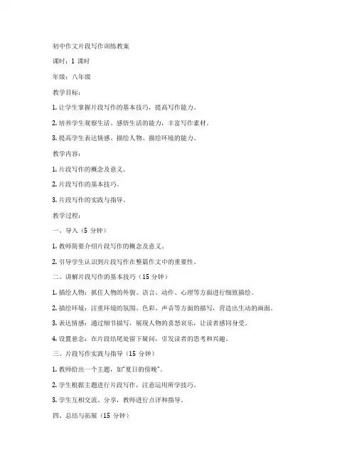 初中作文片段写作训练教案