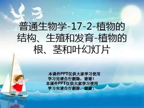 普通生物学-17-2-植物的结构、生殖和发育-植物的根、茎和叶幻灯片