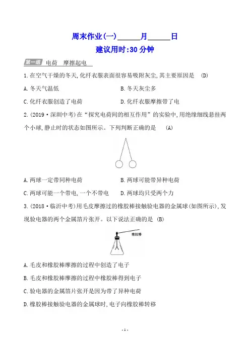 周末作业(一)鲁科版九年级物理上册双减限时