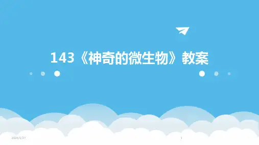 143《神奇的微生物》教案(2024)