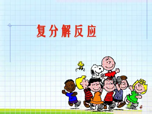 复分解反应PPT课件2 人教版