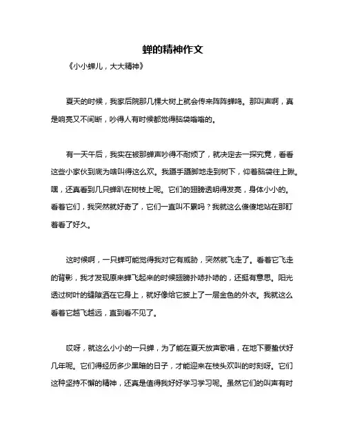 蝉的精神作文