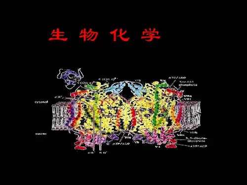生物化学课件0.绪论
