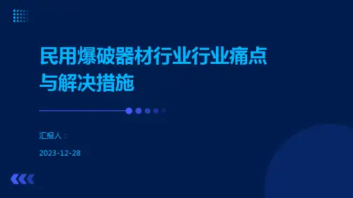 民用爆破器材行业行业痛点与解决措施.pptx
