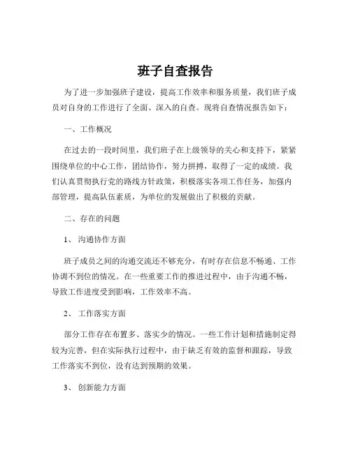 班子自查报告