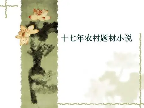 十七年农村小说