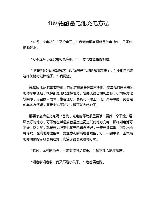 48v铅酸蓄电池充电方法