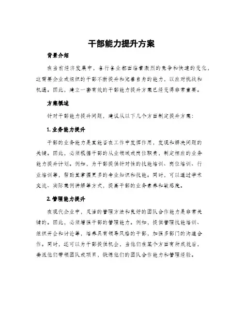 干部能力提升方案