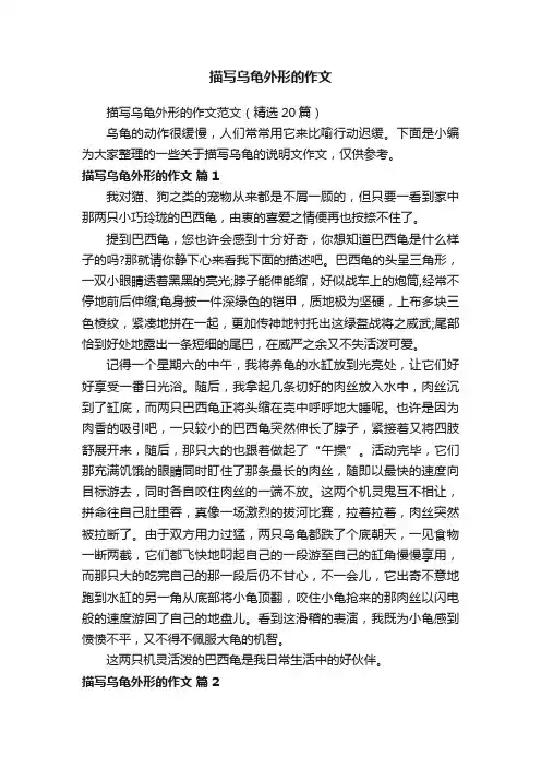 描写乌龟外形的作文范文（精选20篇）