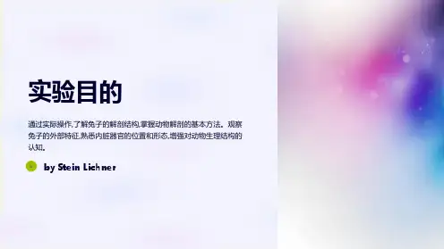 实验六_兔子的解剖