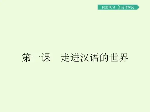 1.1美丽而奇妙的语言——认识汉语PPT课件人教版