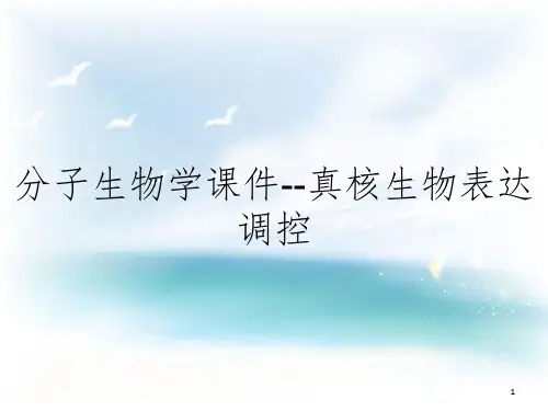分子生物学课件--真核生物表达调控