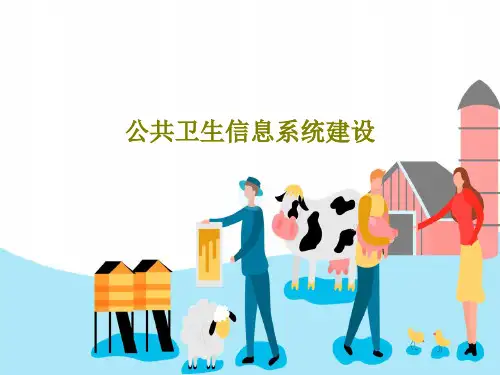 公共卫生信息系统建设60页文档