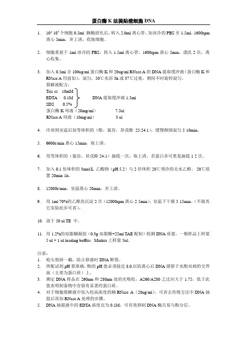 DNA ladder实验步骤