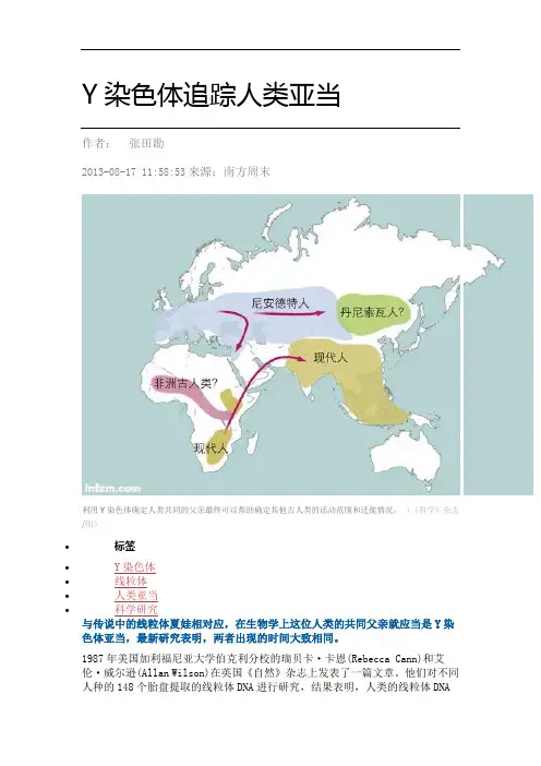 Y染色体追踪人类亚当