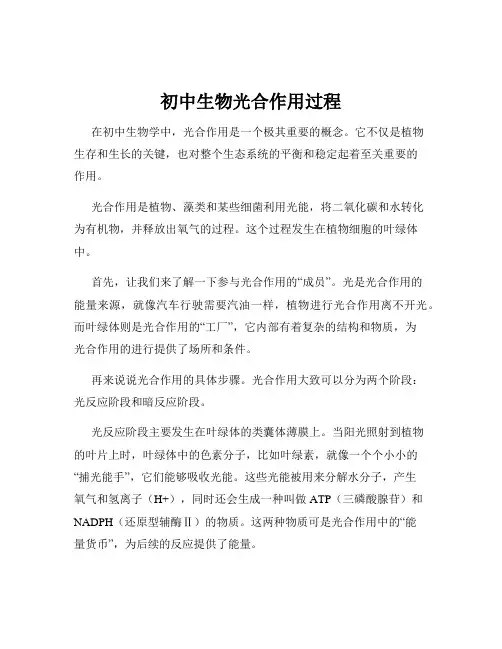 初中生物光合作用过程
