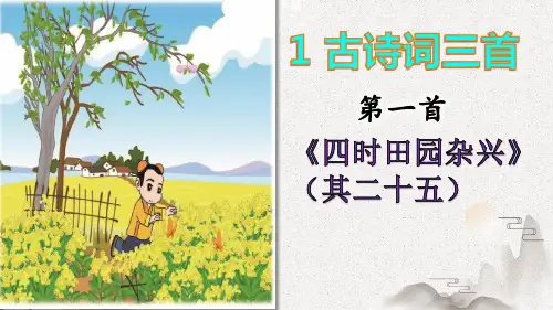 《四时田园杂兴》  (其二十五)课件ppt(完美版)