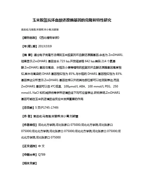 玉米脱氢抗坏血酸还原酶基因的克隆和特性研究