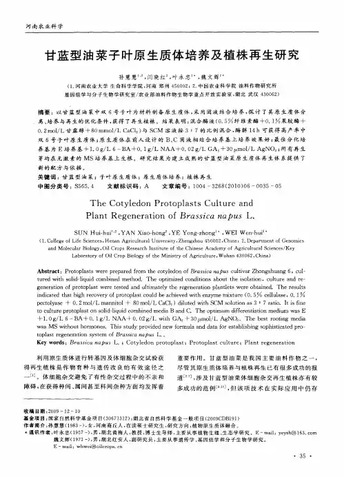 甘蓝型油菜子叶原生质体培养及植株再生研究