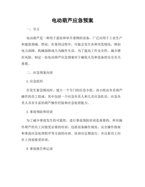 电动葫芦应急预案