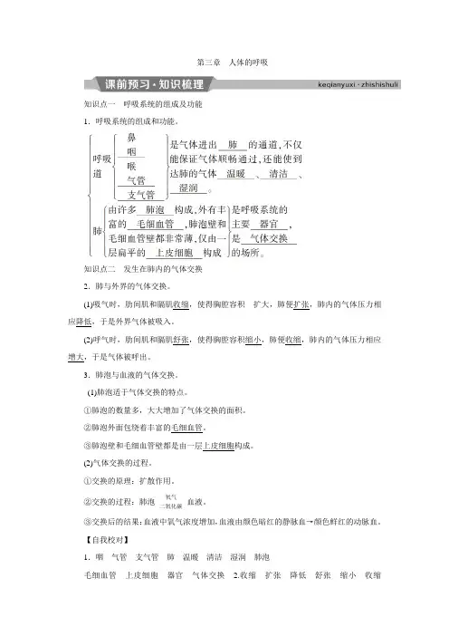 3 第三章 人体的呼吸