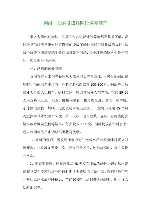 蝌蚪、幼蛙及成蛙阶段饲养管理