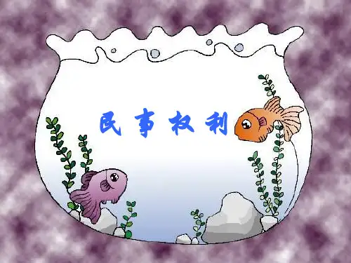 民事权利.ppt