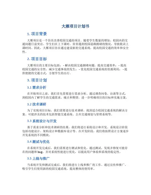 大雁项目计划书