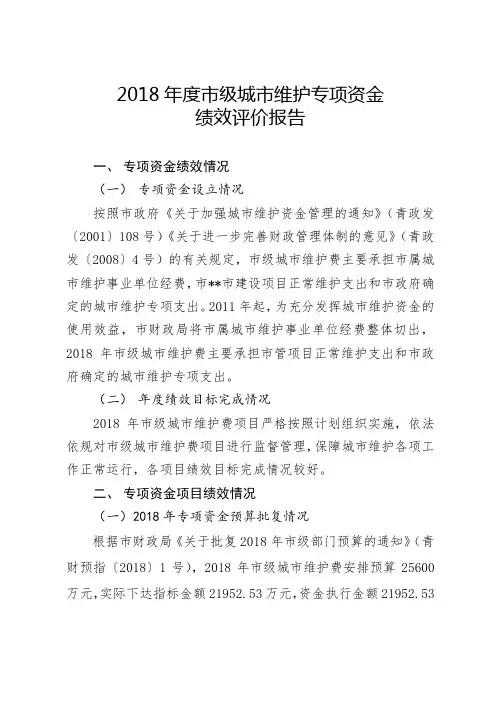 2018年度市级城市维护专项资金绩效评价报告【模板】