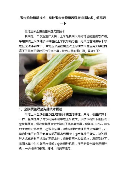 玉米的种植新技术，旱地玉米全膜覆盖双垄沟播技术，值得看一下