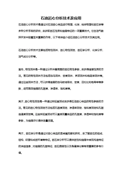 石油岩心分析技术及应用