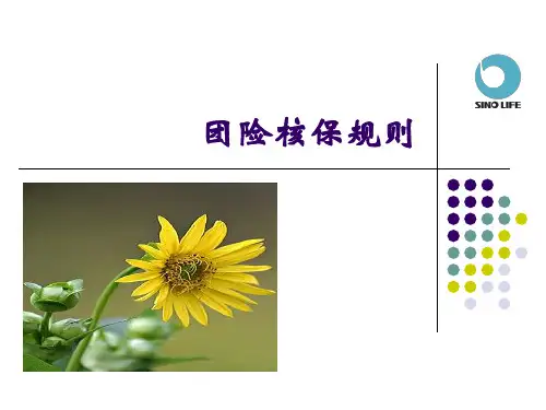 团险核保规则