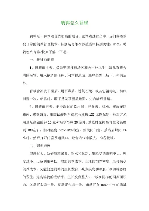 鹌鹑怎么育雏