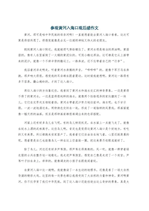 参观黄河入海口观后感作文