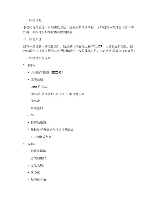 线粒体活性监测实验报告
