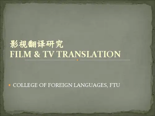 字幕翻译简介