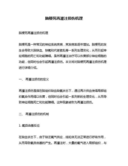脑梗死再灌注损伤机理