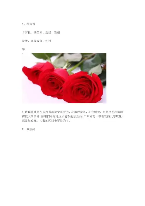26种常见玫瑰