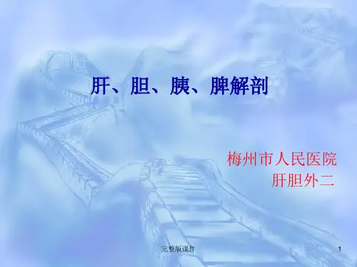 肝胆胰脾解剖PPT课件