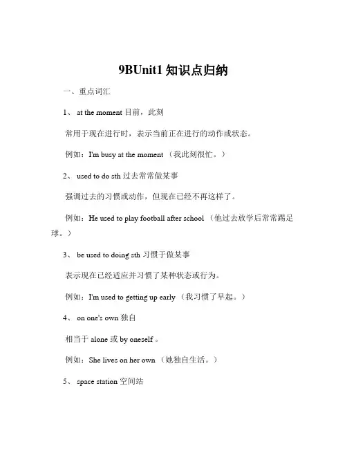 9BUnit1知识点归纳