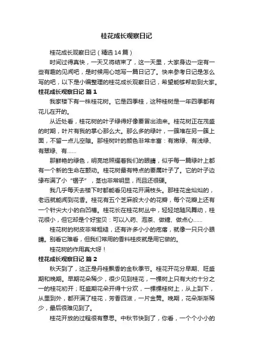 桂花成长观察日记（精选14篇）