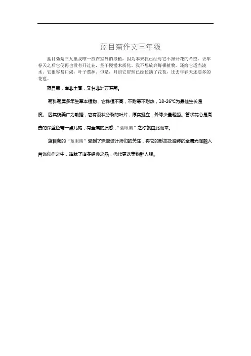 蓝目菊作文三年级