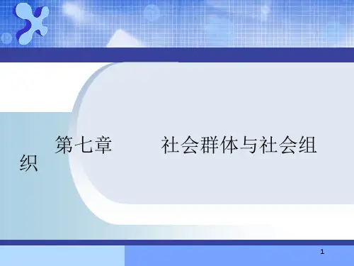社会学概论-社会群体与社会组织